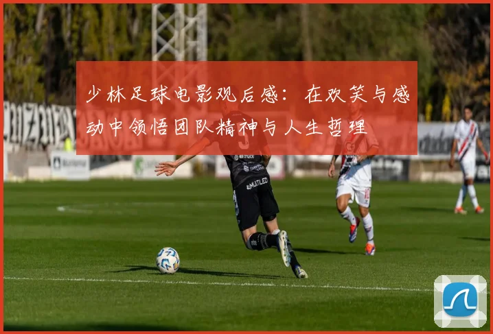 少林足球电影观后感：在欢笑与感动中领悟团队精神与人生哲理