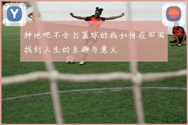 种地吧不会打篮球的我如何在田间找到人生的乐趣与意义