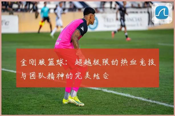 金刚狼篮球：超越极限的热血竞技与团队精神的完美结合