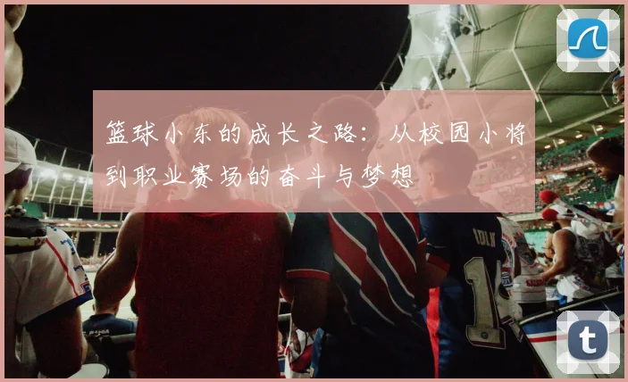 篮球小东的成长之路：从校园小将到职业赛场的奋斗与梦想