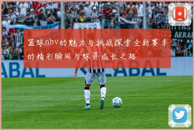 篮球nbv的魅力与挑战探索全新赛季的精彩瞬间与球员成长之路