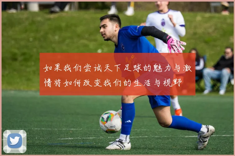 如果我们尝试天下足球的魅力与激情将如何改变我们的生活与视野
