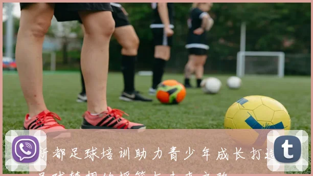新都足球培训助力青少年成长打造足球梦想的摇篮与未来之路