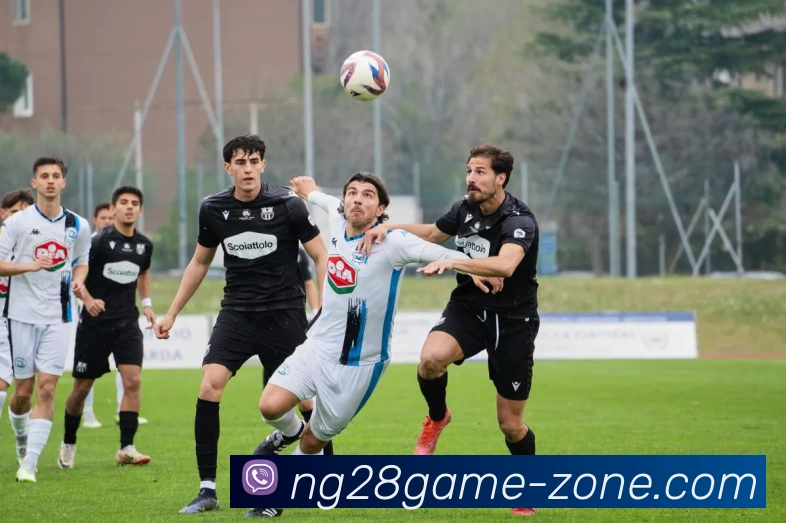 南宫娱乐APP 封面图